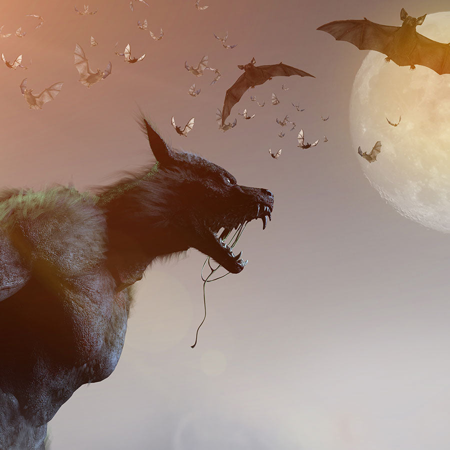Lycanthropes Anonymous | 5e & PF2e Encounter