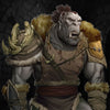 This Is the Truth about Orcs in D&D (because you've been lied to)
