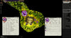Dreams & Destiny Foundry Module