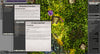 Dreams & Destiny Foundry Module