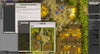 Dreams & Destiny Foundry Module