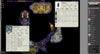Dreams & Destiny Foundry Module