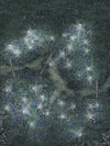 Map Pack #38 - Fey City