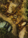Map Pack Bundle #13