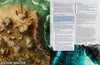 Tails & Trials - Lair Magazine #52, April 2025 Issue