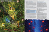 Lair Magazine Bundle: Issues 43-45