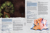 Bandits & Bounties - Lair Magazine #49, January 2025 Issue