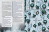 Tundra & Terror - Lair Magazine #37, January 2024 Issue