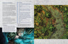 Lair Magazine Bundle: Issues 43-45