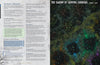 Tyranny & Trepidation - Lair Magazine #46, October 2024 Issue