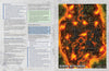 Mysteries & Mechanisms - Lair Magazine #56, August 2025 Issue