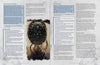 Intellect & Imagery - Lair Magazine #29, May 2023 Issue