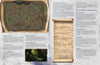 Warfare & Wizardry - Lair Magazine #23, November 2022 Issue