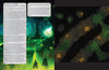 Idealism & Infamy - Lair Magazine #26, February 2023 Issue