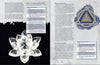 Loyalty & Lies - Lair Magazine #13, January 2022 Issue