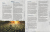 Fire & Feast - Lair Magazine #7, July 2021 Issue
