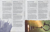 Loyalty & Lies - Lair Magazine #13, January 2022 Issue